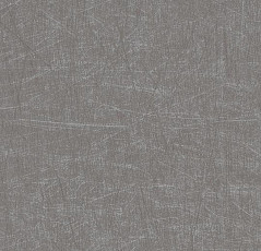 Линолеум Forbo Eternal Material 13712 brushed chrome фото 1 | FLOORDEALER